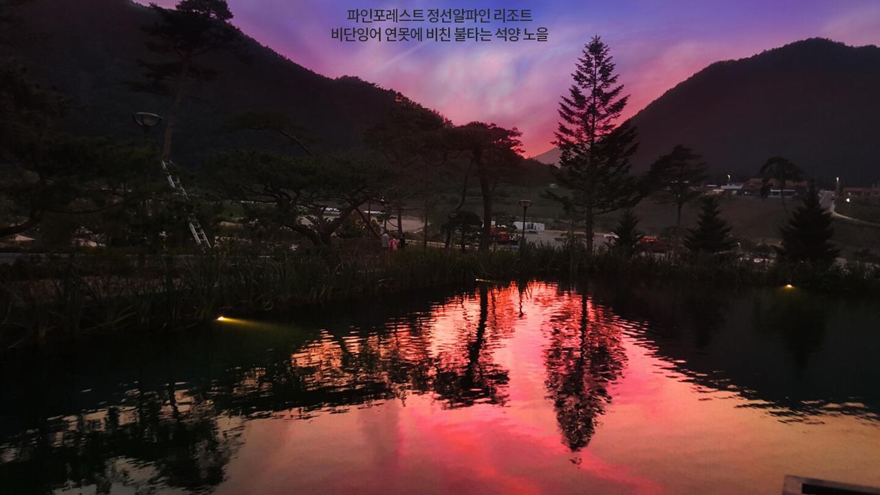 Pine Forest Jeongseon Alpine Resort Exteriör bild
