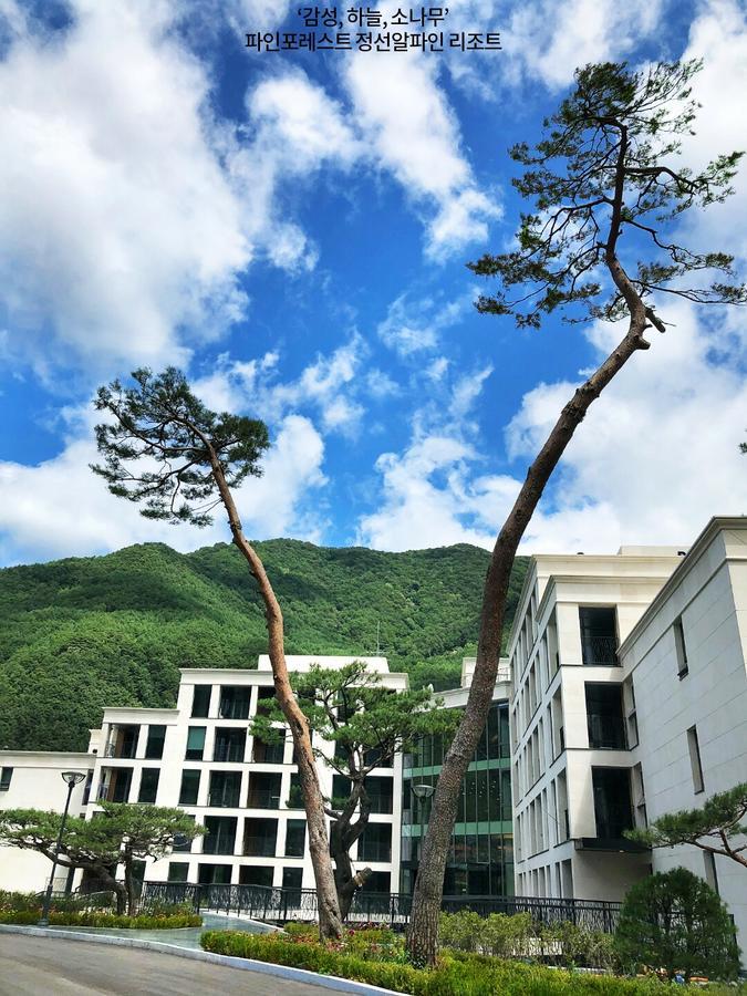 Pine Forest Jeongseon Alpine Resort Exteriör bild